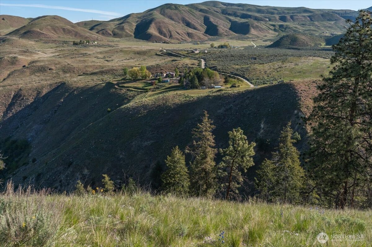 25 Chelan Hills Acres Road Orondo, WA 98843 - Photo 6 of 39 a view of a yard
