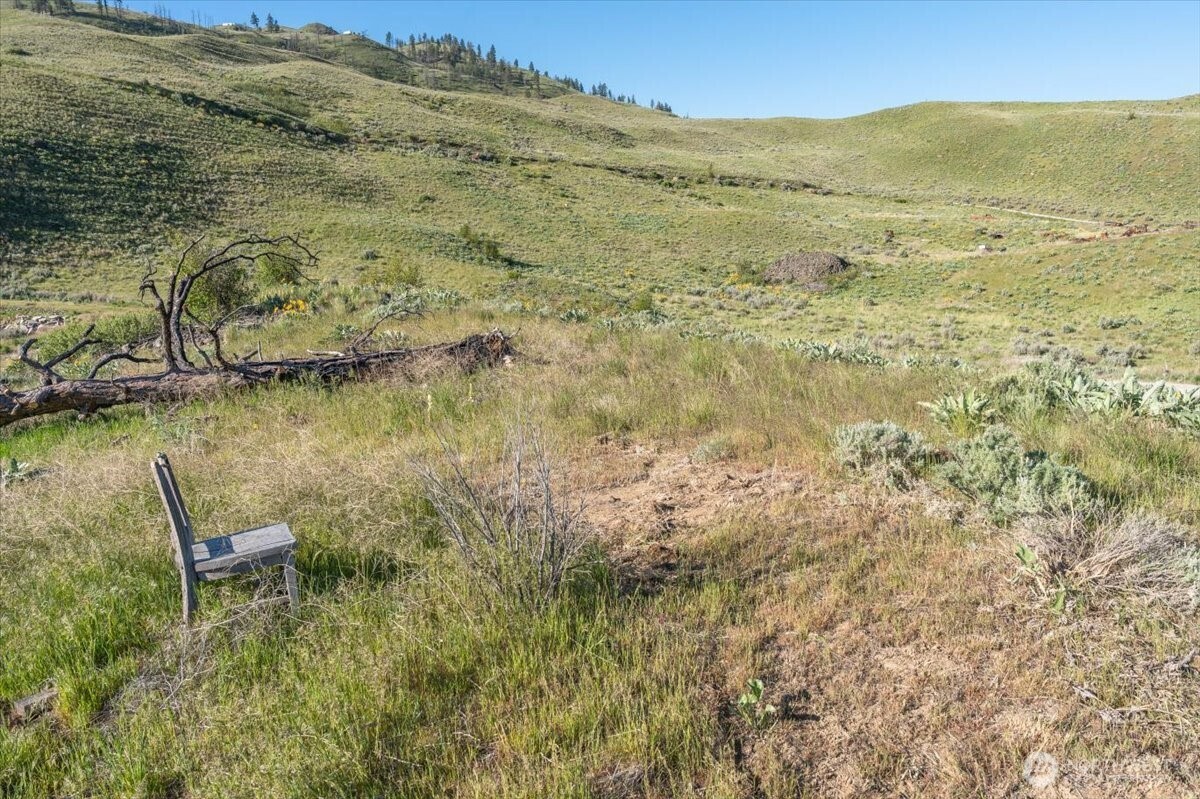 25 Chelan Hills Acres Road Orondo, WA 98843 - Photo 8 of 39 a view of ocean with a mountain