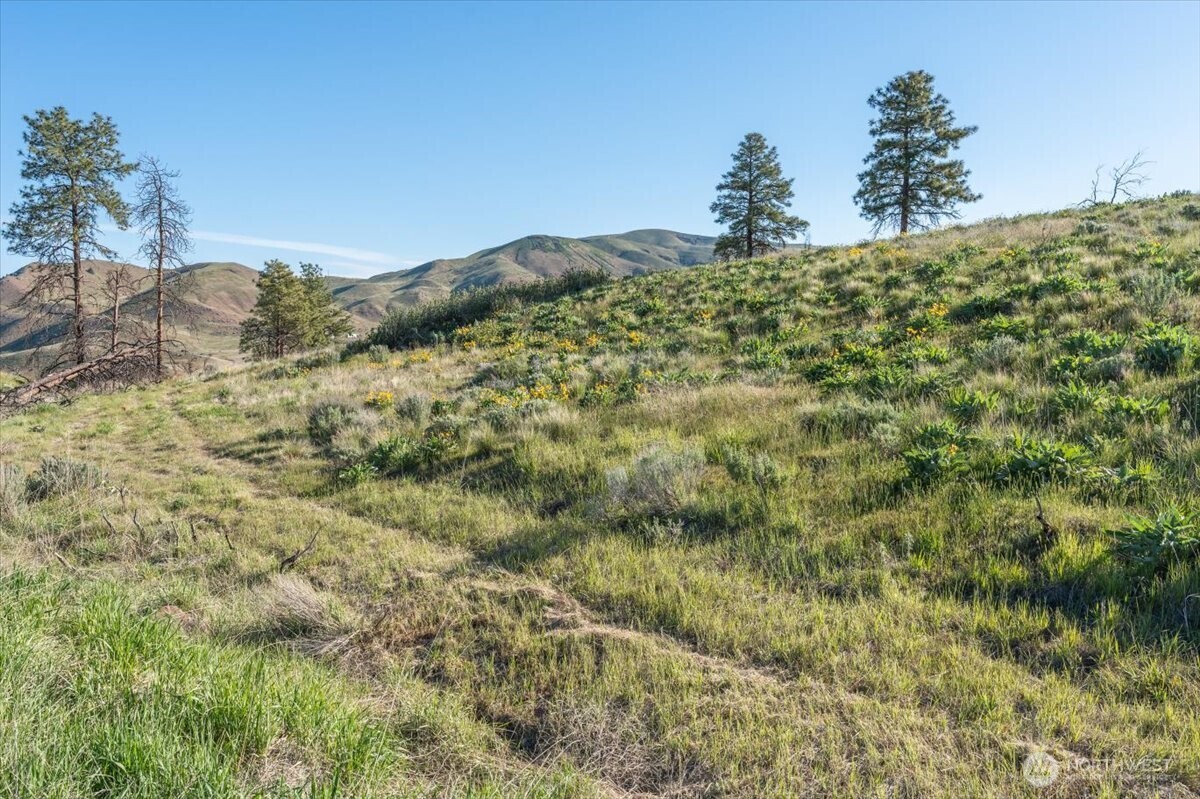 25 Chelan Hills Acres Road Orondo, WA 98843 - Photo 10 of 39