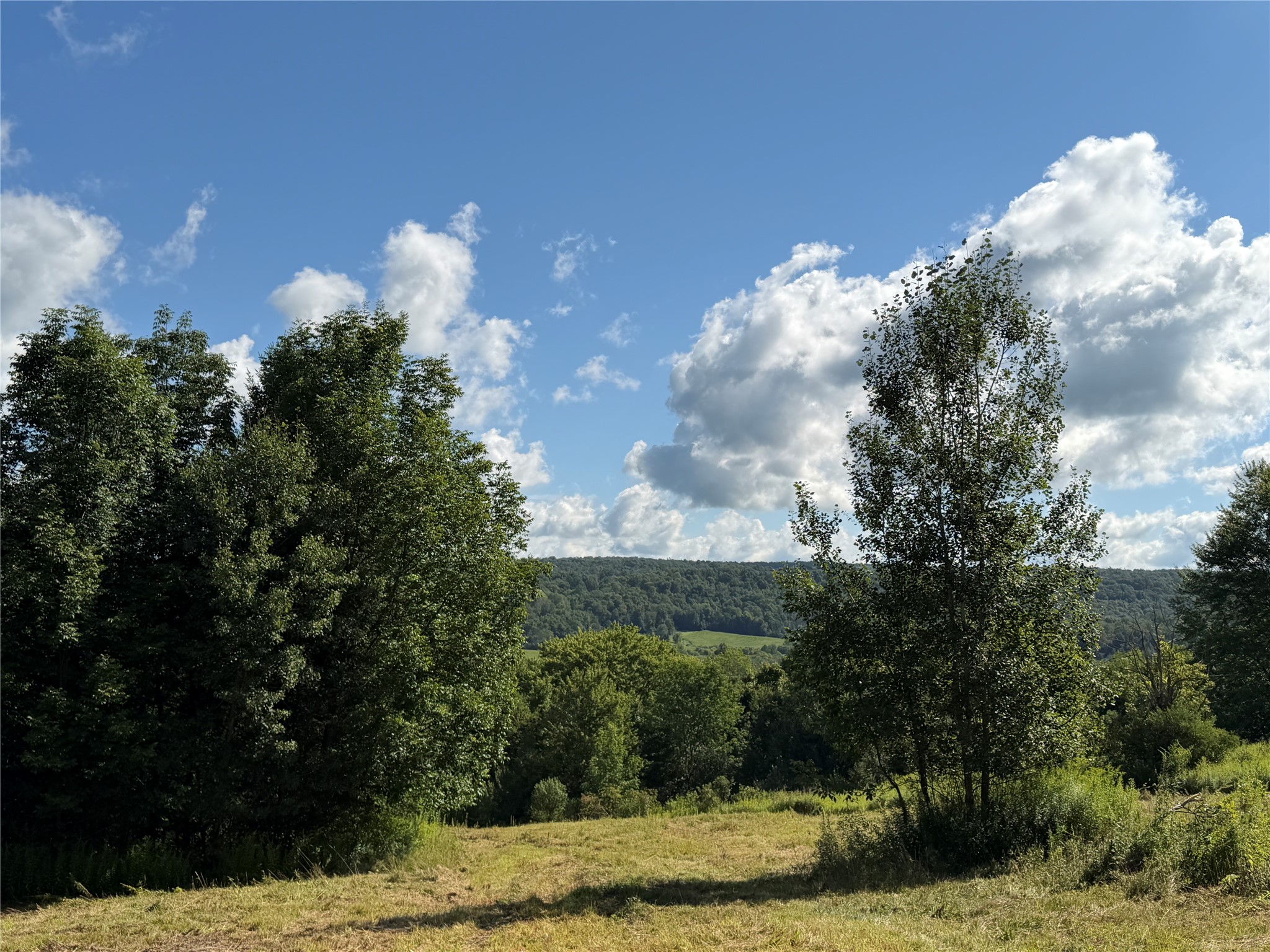 Beautiful views from the home building site!