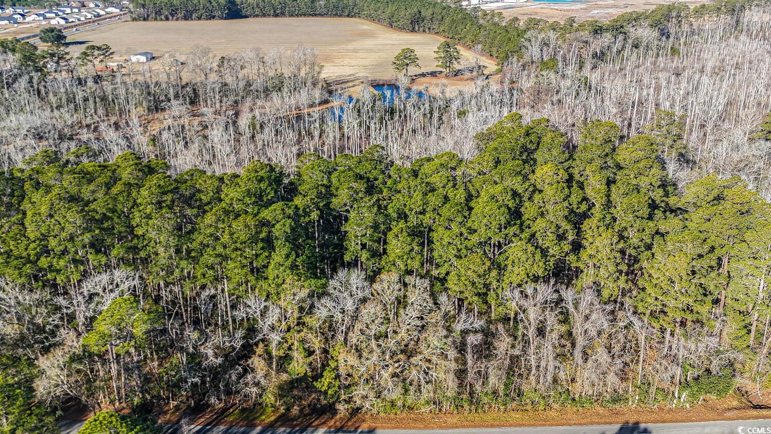 2886 Mill Swamp Road Longs, SC 29568 - Photo 1 of 5 Aerial view