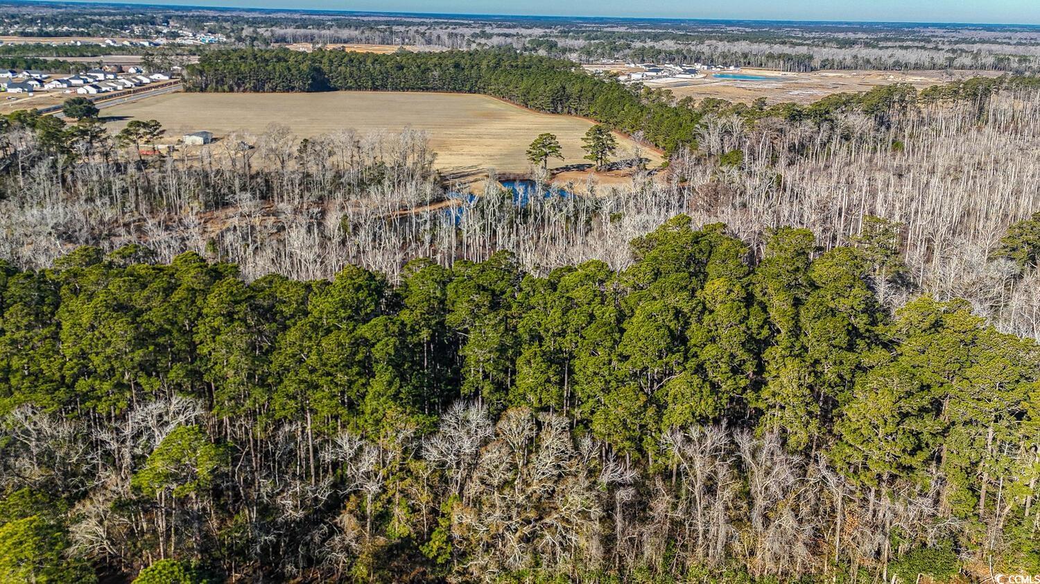 2886 Mill Swamp Road Longs, SC 29568 - Photo 2 of 5 Drone / aerial view