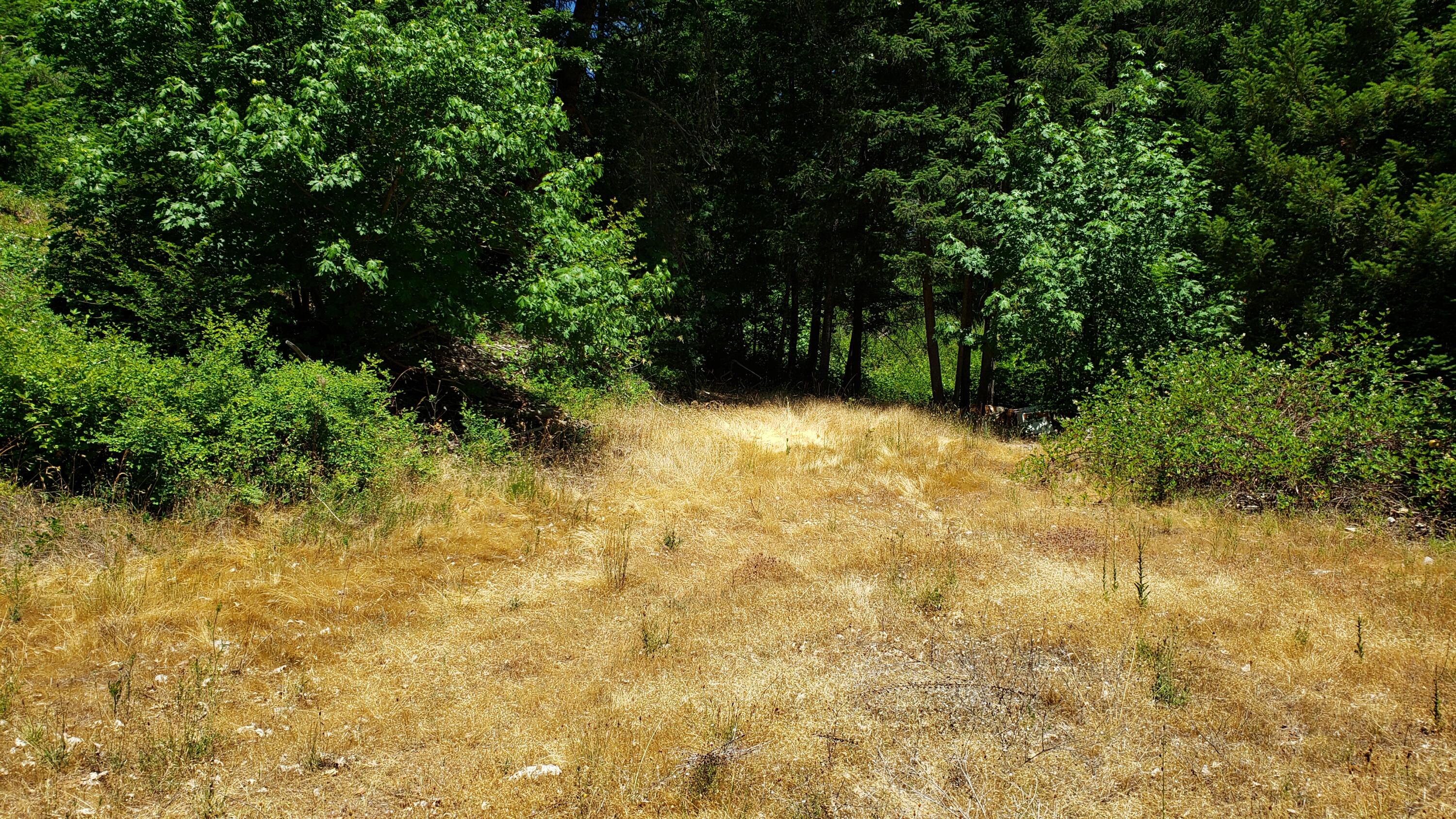 11241 Elk Creek Road Trail, OR 97541 - Photo 1 of 16 20230630_125300