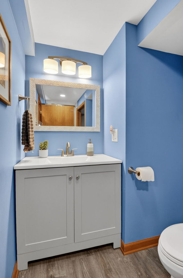 2123 Green Valley Road Darien, IL 60561 - Photo 22 of 30 a bathroom with a sink mirror and toilet