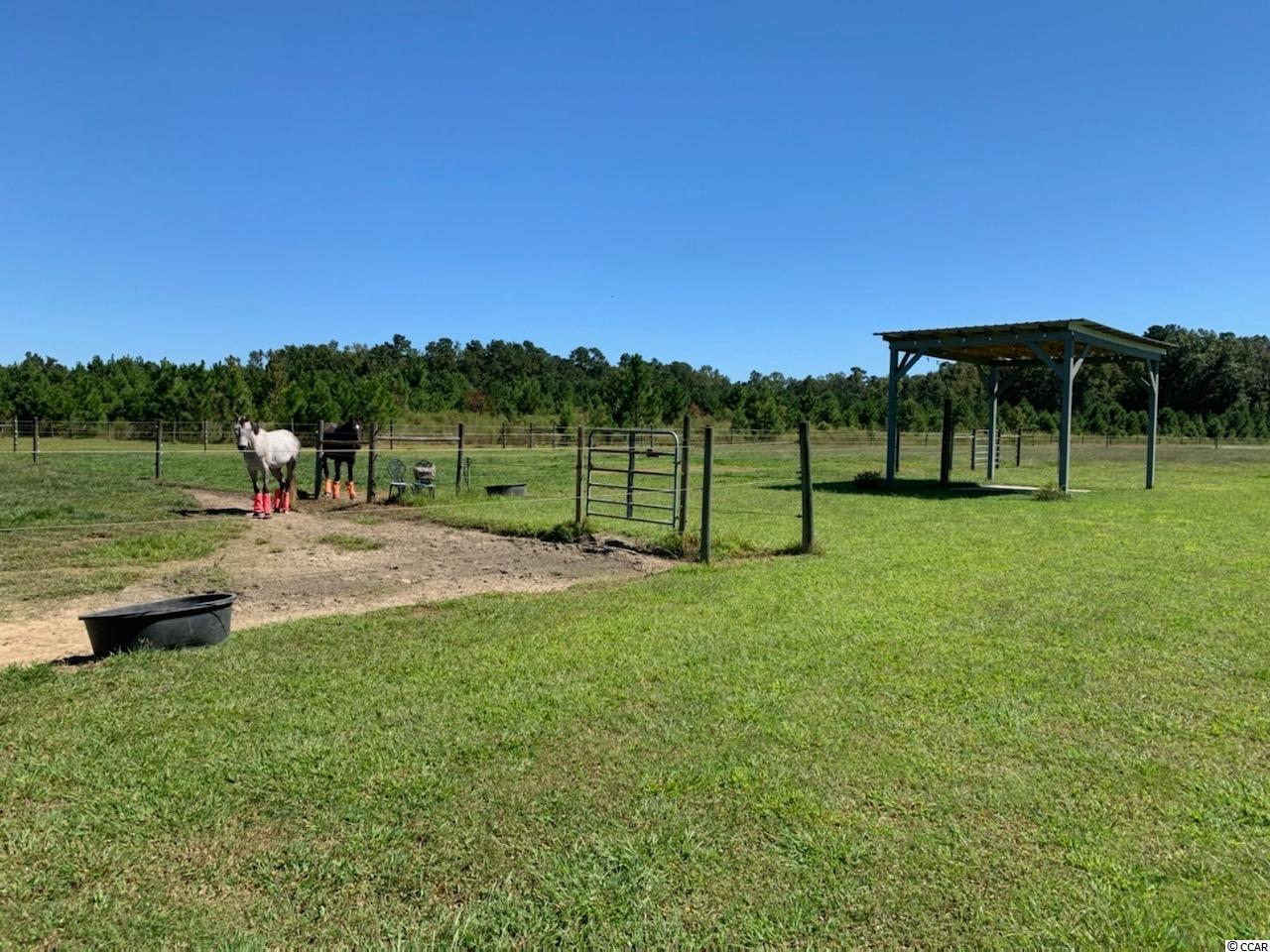 2221 County Rd S-45-38 Kingstree, SC 29556 - Photo 14 of 15