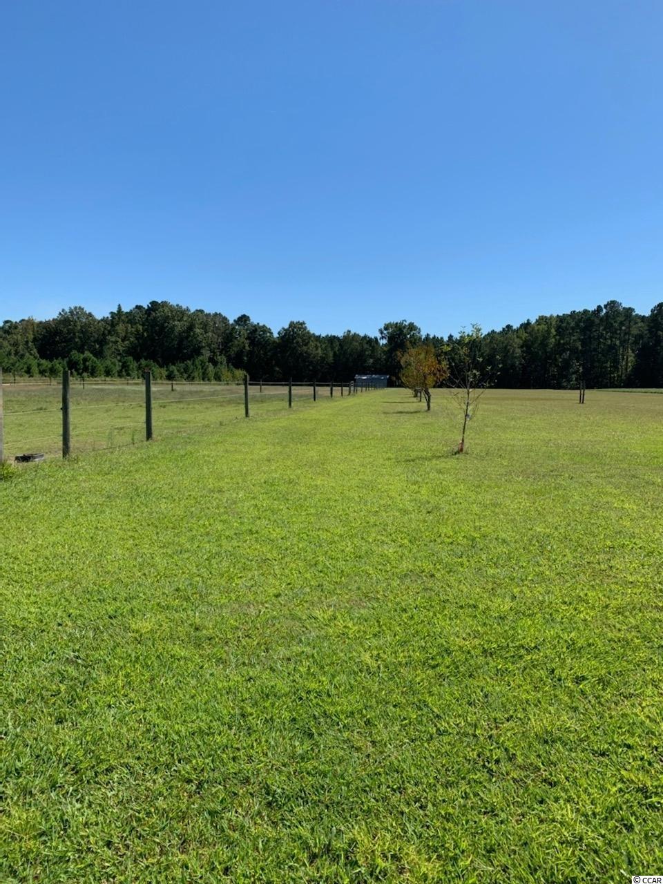 2221 County Rd S-45-38 Kingstree, SC 29556 - Photo 15 of 15