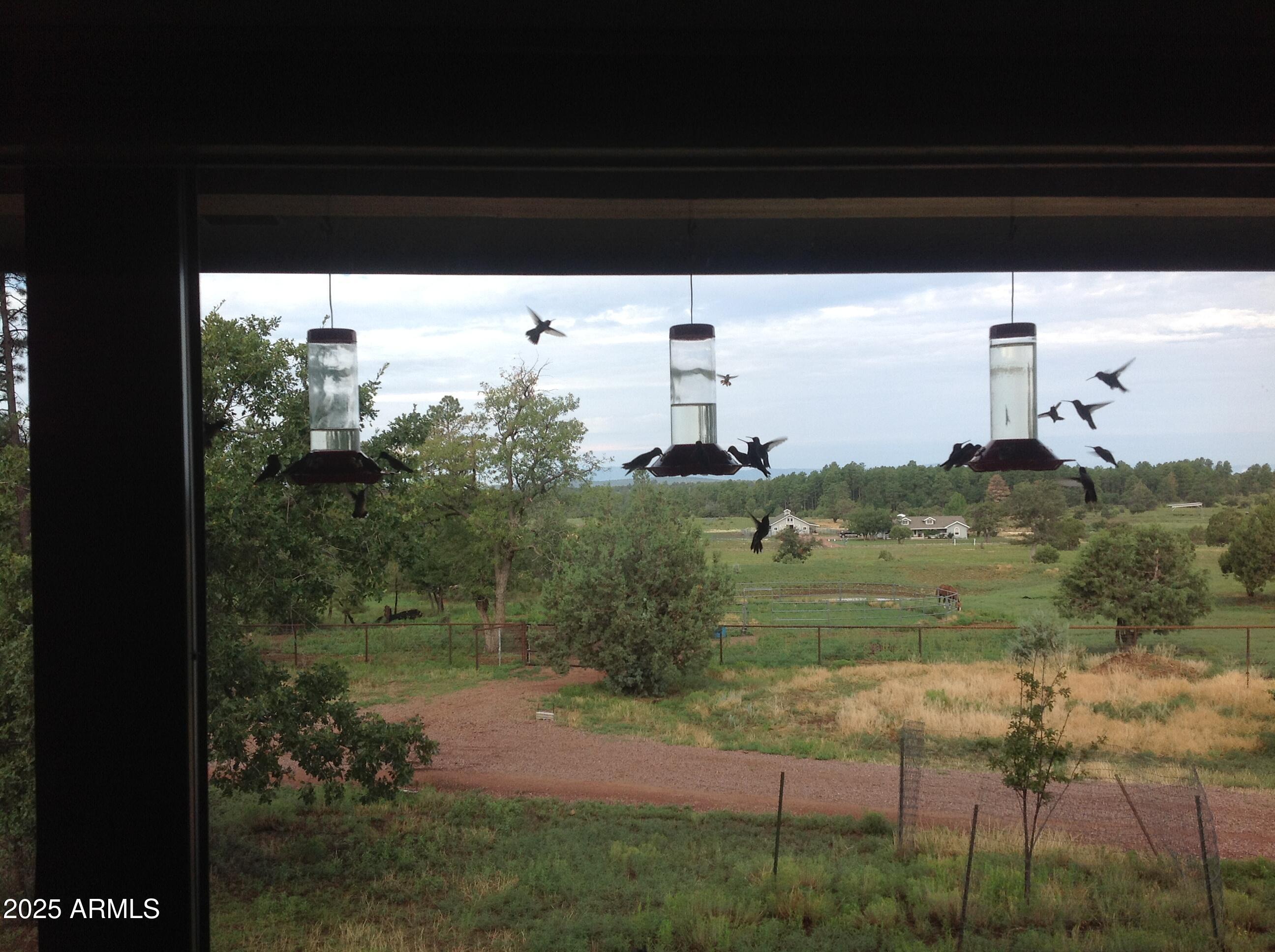 131 West Hunt Ranch Road Pine, AZ 85544 - Photo 33 of 65 Hummers2
