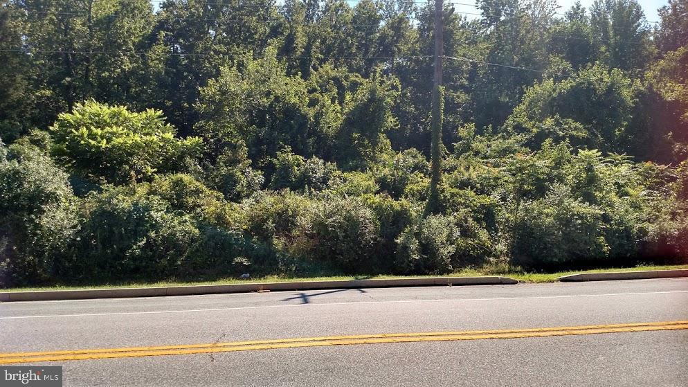 Singerly Road Elkton, MD 21921 - Photo 4 of 5 2.75 Acre Lot Awaits your new home