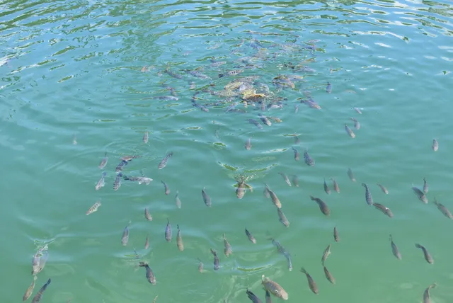 $799,000 | W7202 Kodiak Drive, Pembine, WI 54156