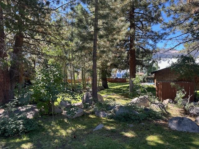 3199 Chateau Road, Unit 17 Mammoth Lakes, CA 93546 - Photo 14 of 23 a view of a park with large trees