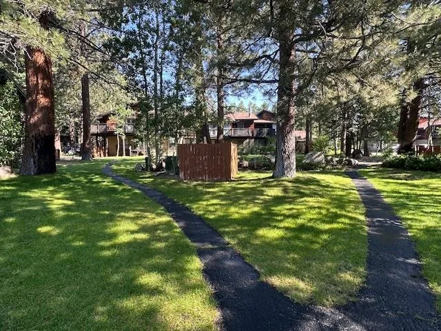 a view of a yard with plants and large trees