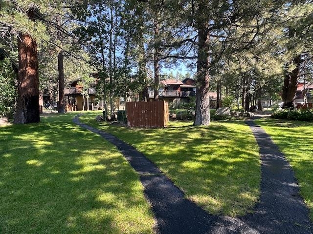 3199 Chateau Road, Unit 17 Mammoth Lakes, CA 93546 - Photo 20 of 23 a view of a yard with plants and large trees
