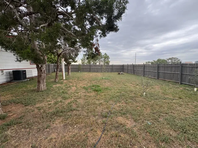 a view of a yard with a tree