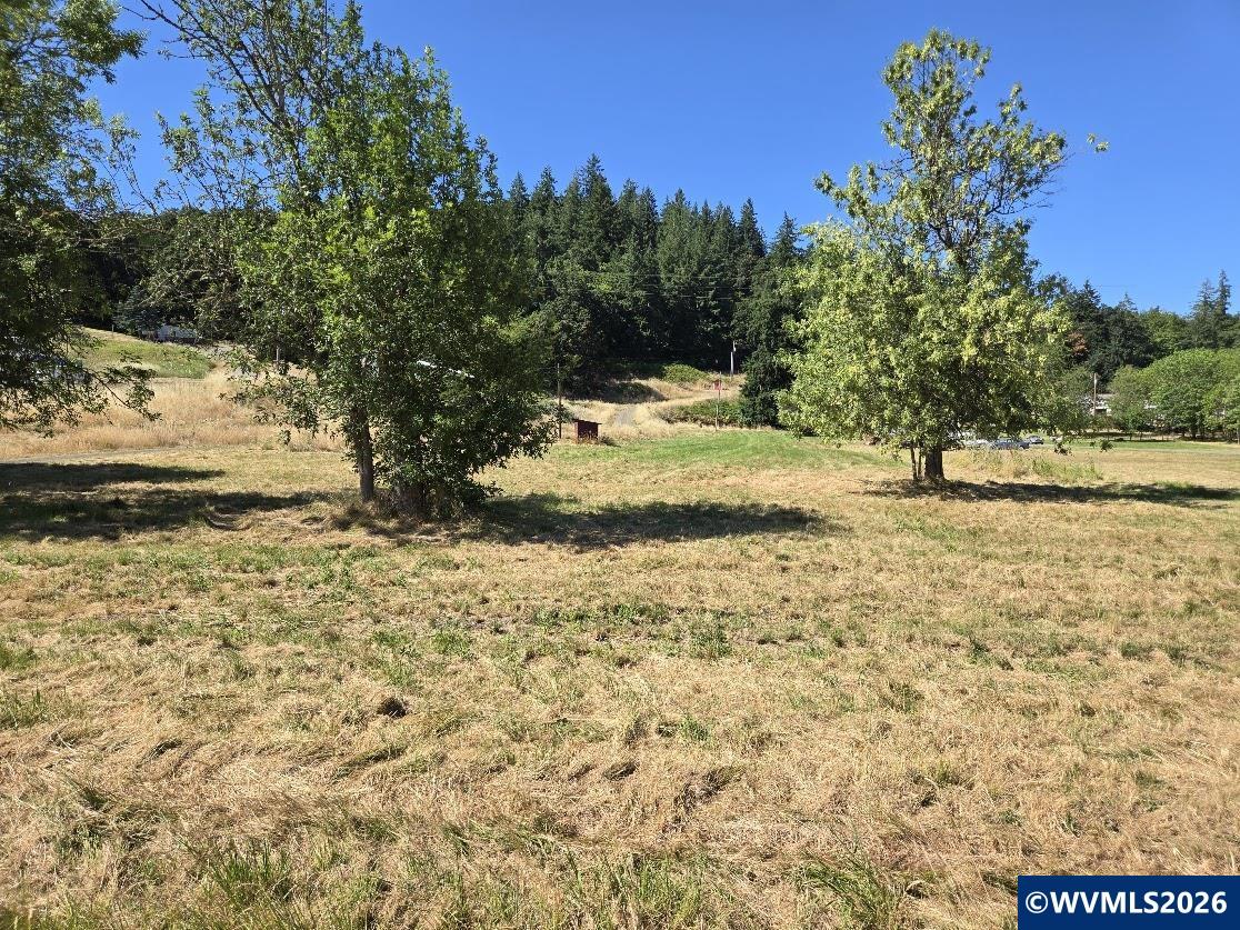 Lot 113 Knox Butte Road Albany, OR 97322 - Photo 8 of 13