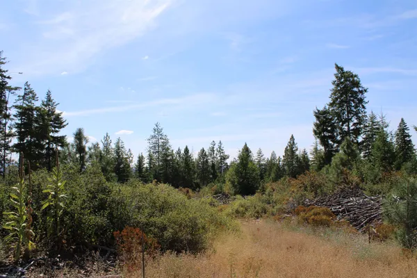 $290,000 | Xxx Ellery Ranch Road, Elk, WA 99009