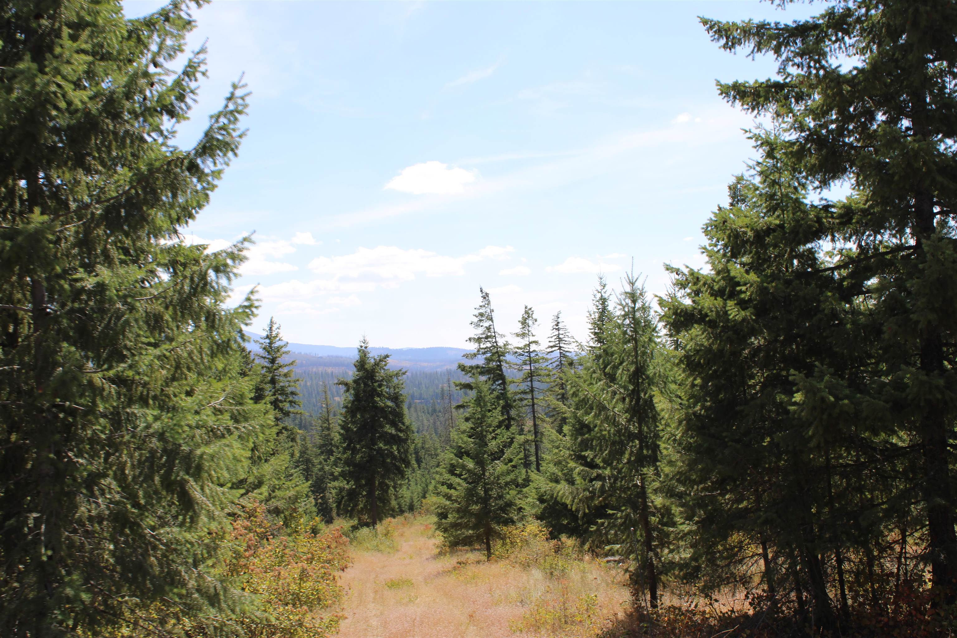 Xxx Ellery Ranch Road Elk, WA 99009 - Photo 11 of 16