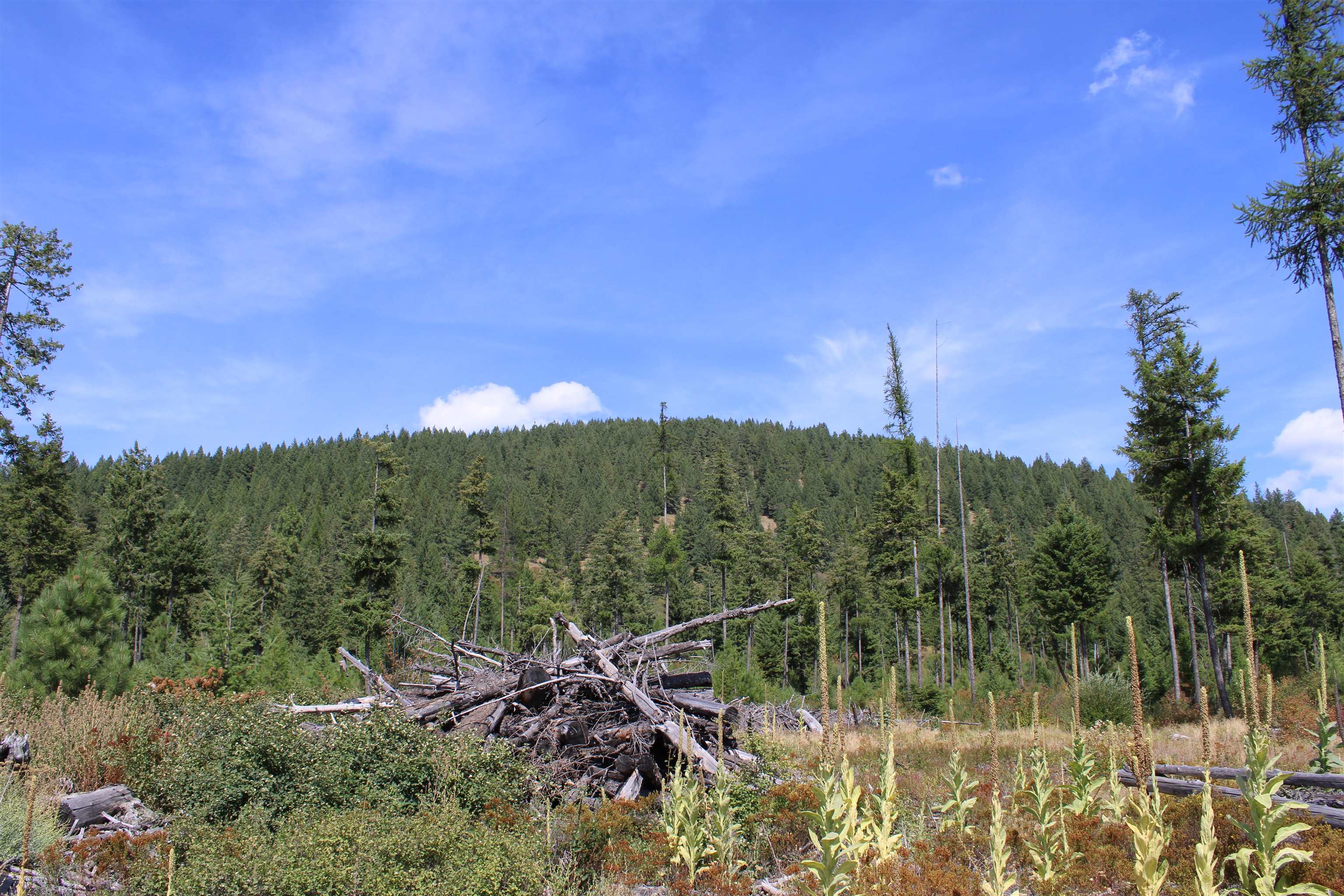 Xxx Ellery Ranch Road Elk, WA 99009 - Photo 13 of 16