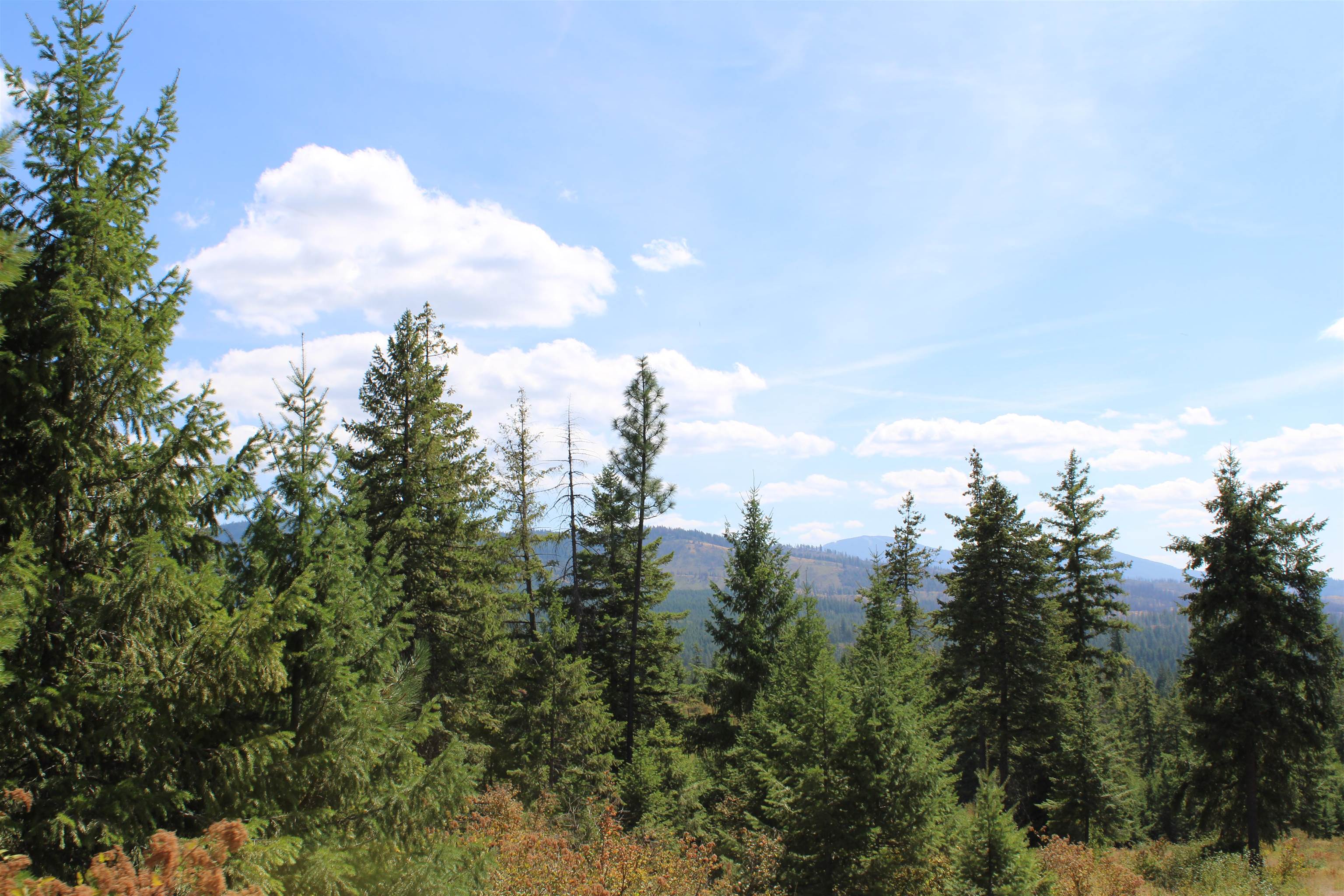 Xxx Ellery Ranch Road Elk, WA 99009 - Photo 14 of 16