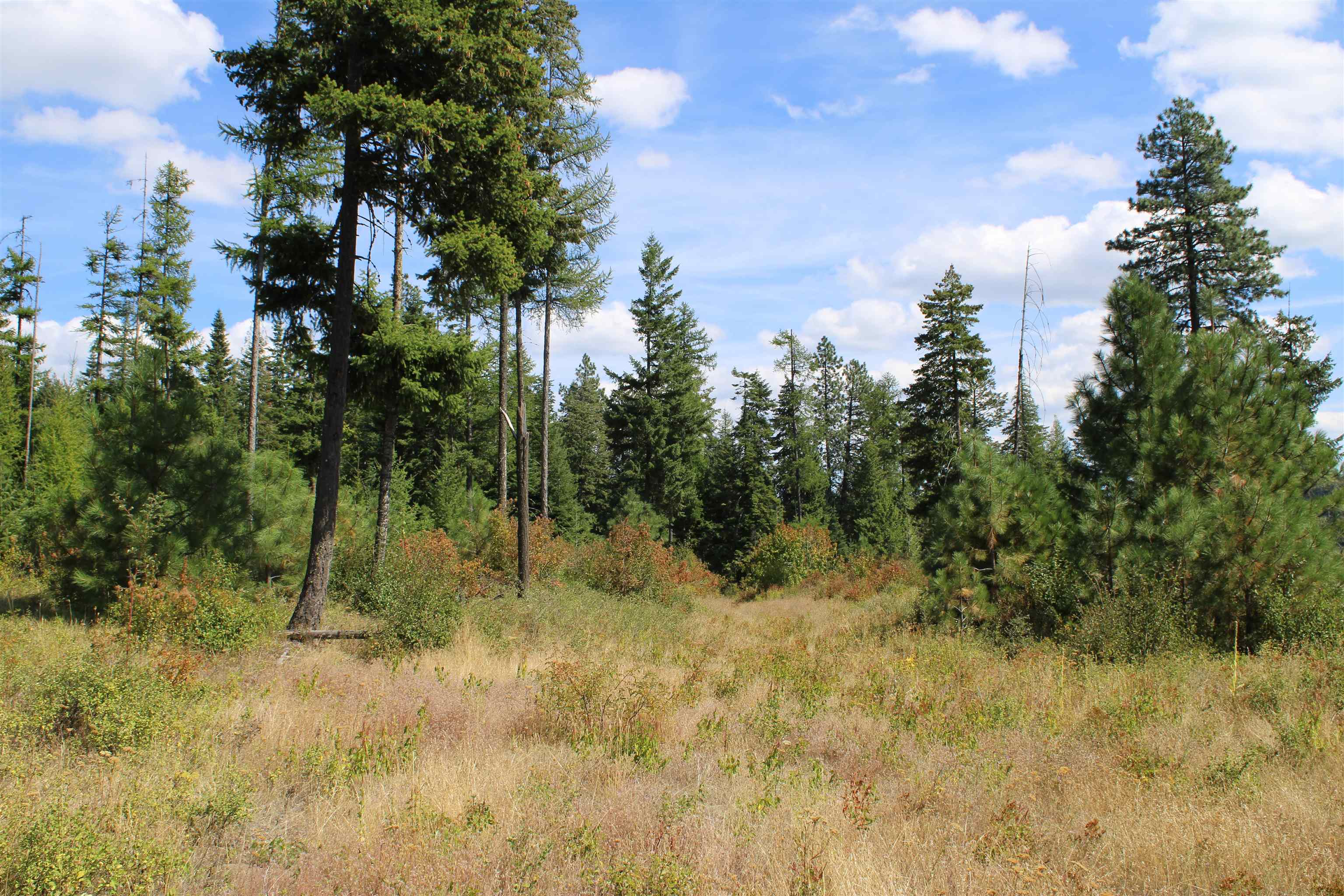 Xxx Ellery Ranch Road Elk, WA 99009 - Photo 15 of 16