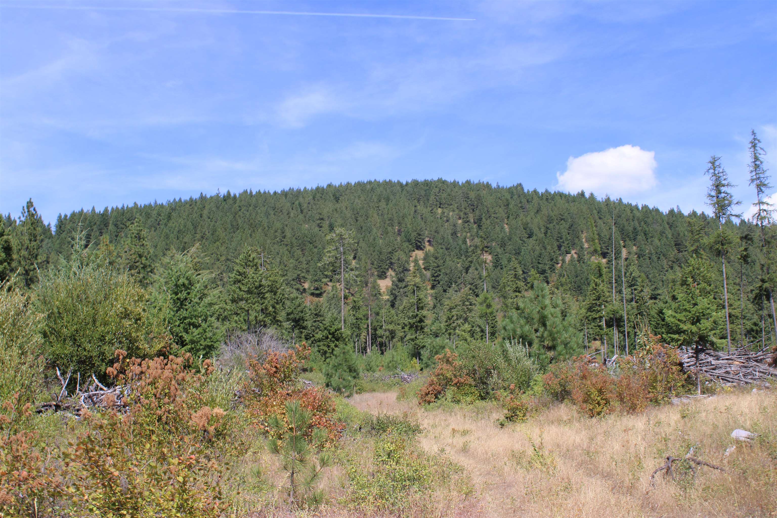 Xxx Ellery Ranch Road Elk, WA 99009 - Photo 16 of 16