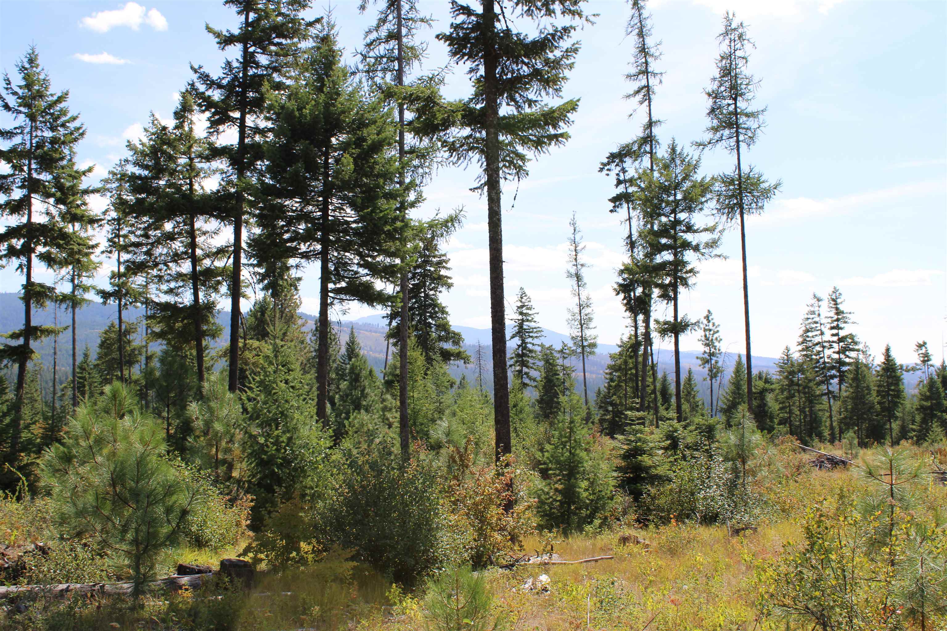 Xxx Ellery Ranch Road Elk, WA 99009 - Photo 2 of 16