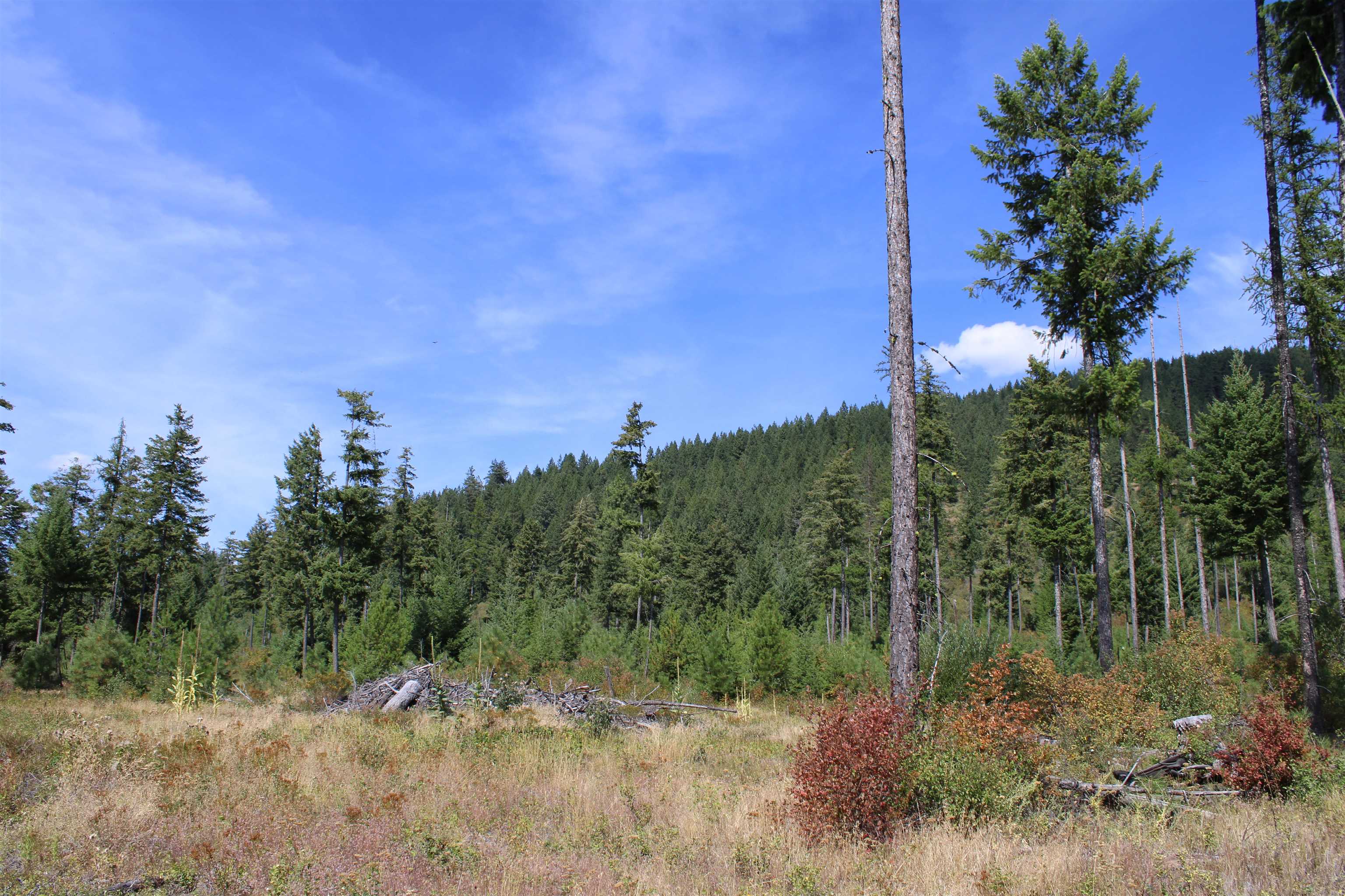 Xxx Ellery Ranch Road Elk, WA 99009 - Photo 4 of 16