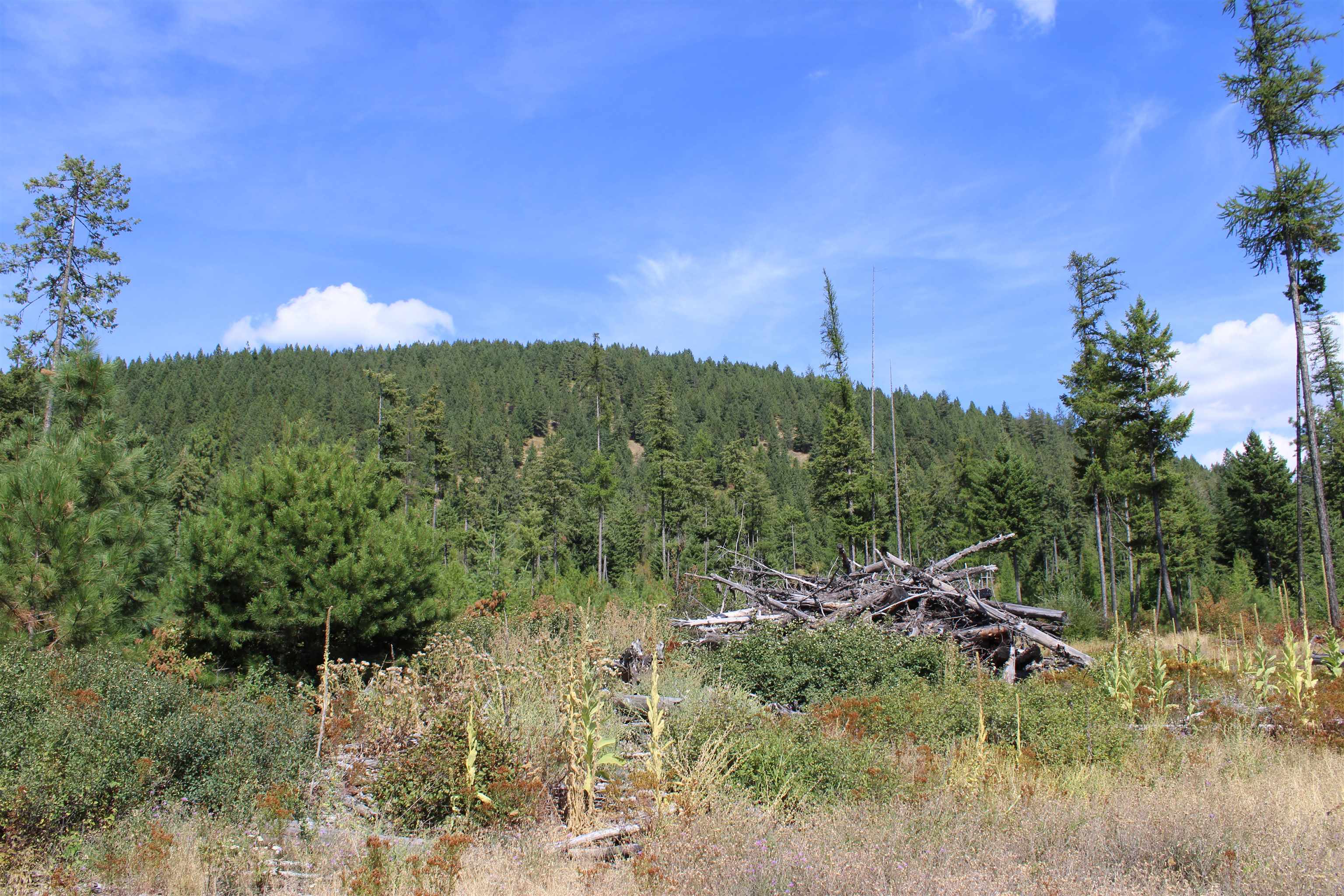 Xxx Ellery Ranch Road Elk, WA 99009 - Photo 9 of 16
