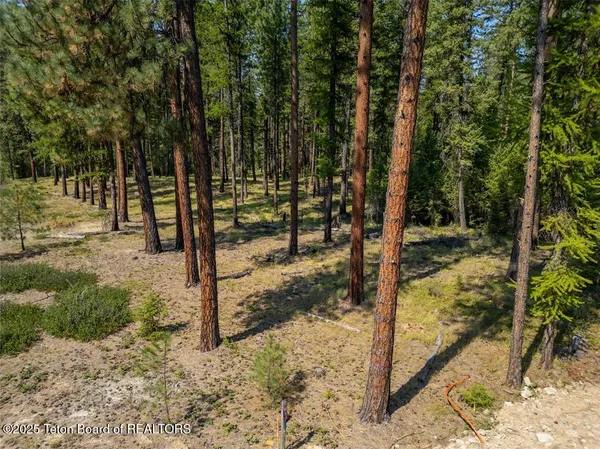 $349,000 | 50 Hines Road, Troy, MT 59935