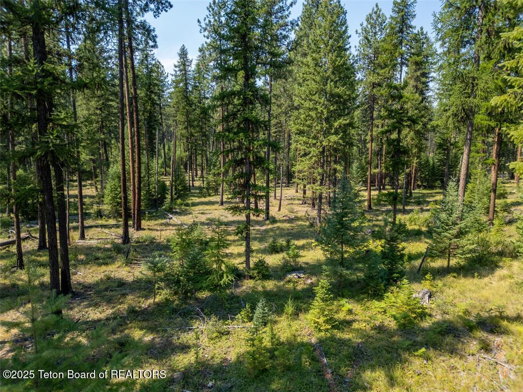 50 Hines Road Troy, MT 59935 - Photo 12 of 25 33