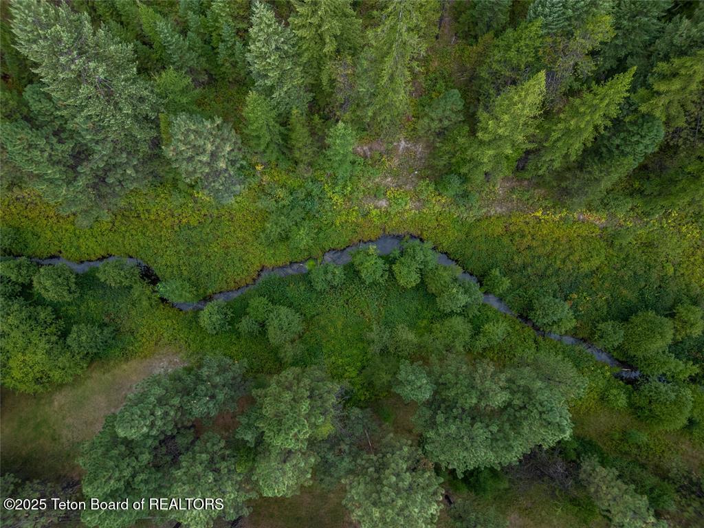 50 Hines Road Troy, MT 59935 - Photo 5 of 25 5