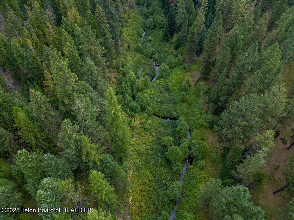 50 Hines Road Troy, MT 59935 - Photo 6 of 25 6