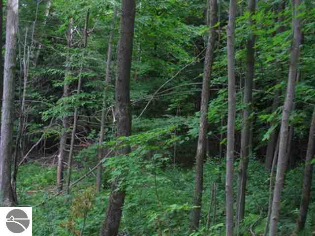 11606 Shippy Road Southwest Fife Lake, MI 49633 - Photo 23 of 25 1728682-22.JPG