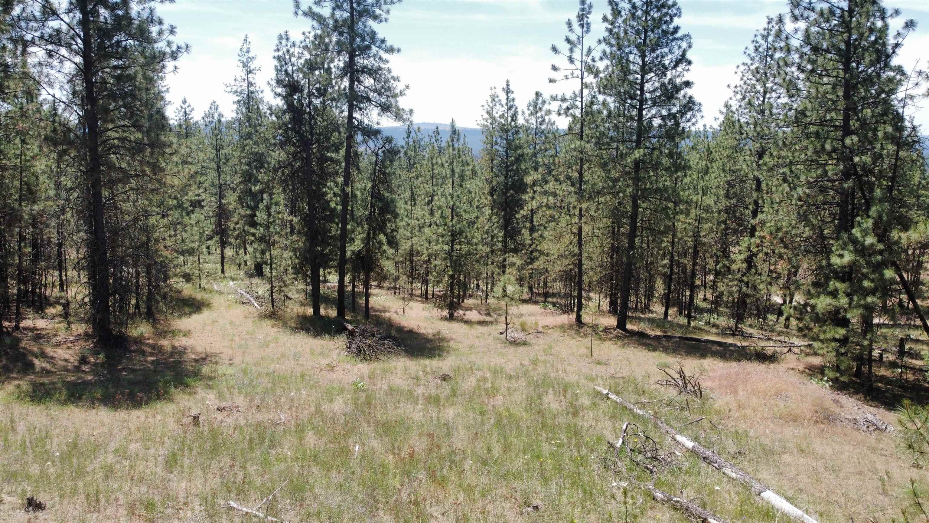 Nna Corkscrew Canyon Road Tumtum, WA 99034 - Photo 30 of 41 Gallery Image 30