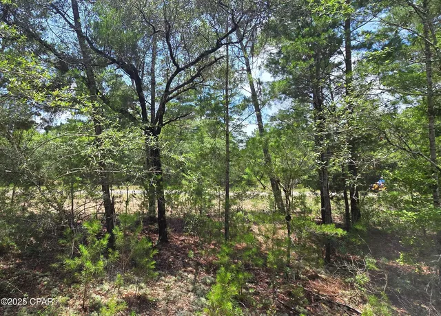 $14,500 | Lot 8 Jamaica Circle, Chipley, FL 32428