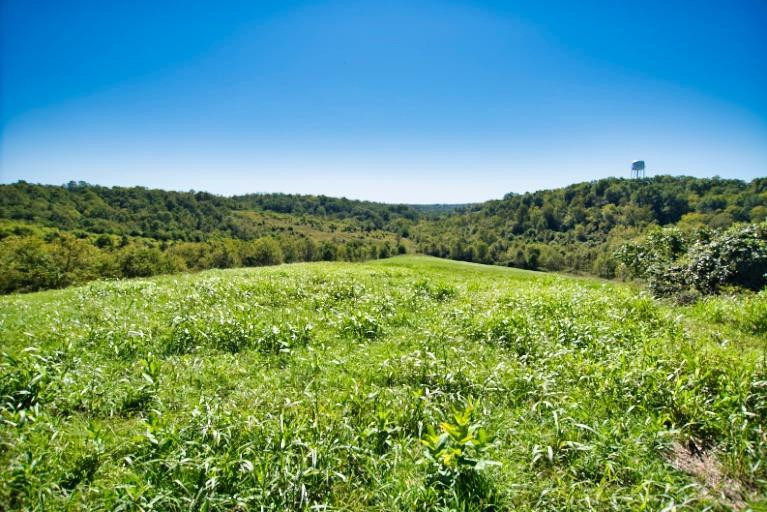 1080 Cole Road Winchester, KY 40391 - Photo 15 of 81 Photo 15
