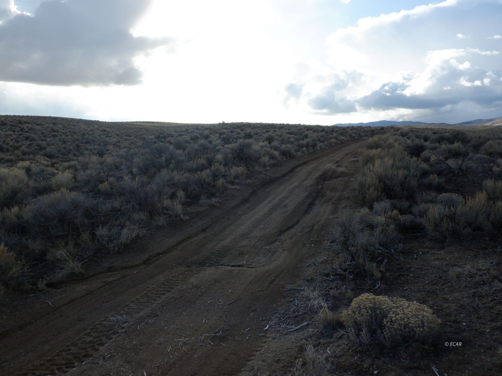 39-3 6th Street, Unit 35/3 Elko, NV 89801 - Photo 4 of 8