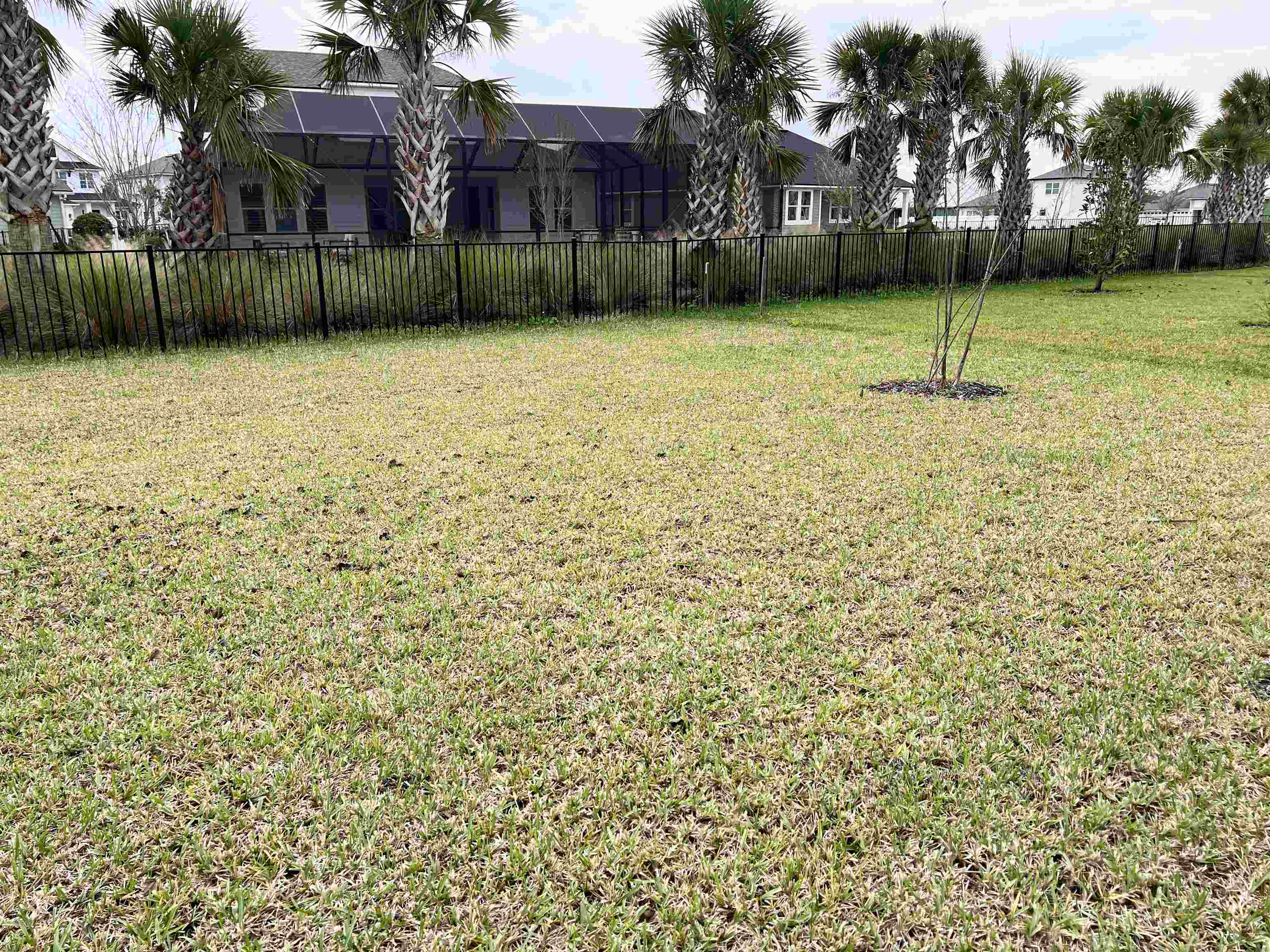 385 Brookgreen Way St. Augustine, FL 32092 - Photo 29 of 31 a backyard of a house with lots of green space
