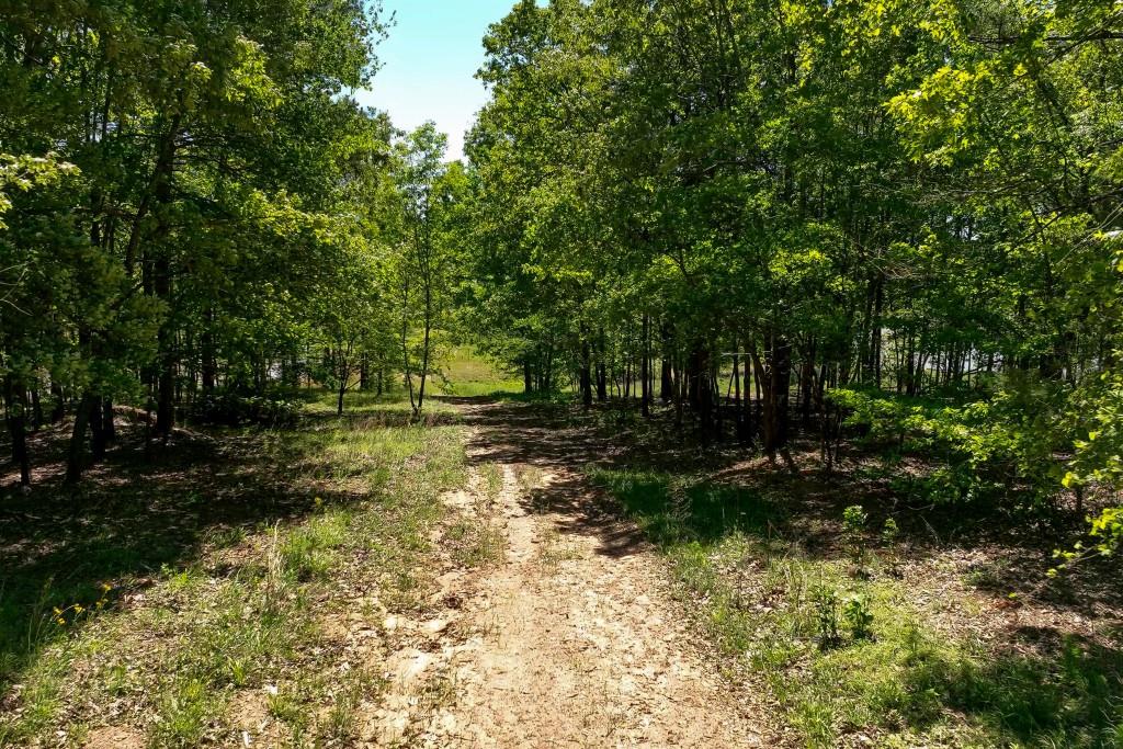 229 Sharp Trail Hoschton, GA 30548 - Photo 62 of 80