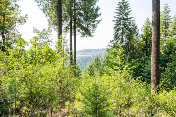 $219,000 | 13518 Quaker Hill Cross Road, Nevada City, CA 95959