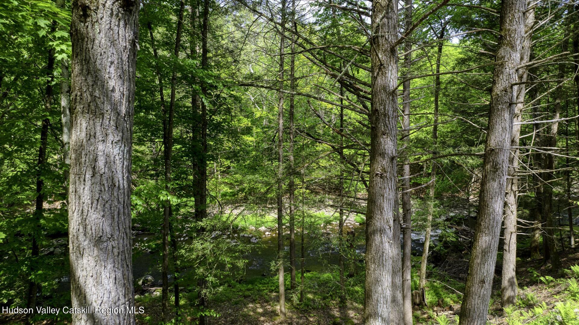 36 Boodle Hole Road Accord, NY 12404 - Photo 44 of 58 36-Boodle-Hole-18