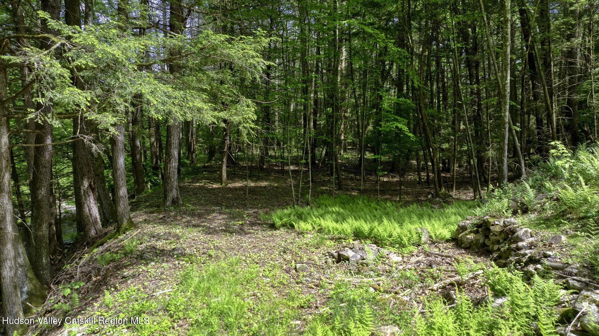36 Boodle Hole Road Accord, NY 12404 - Photo 45 of 58 36-Boodle-Hole-17