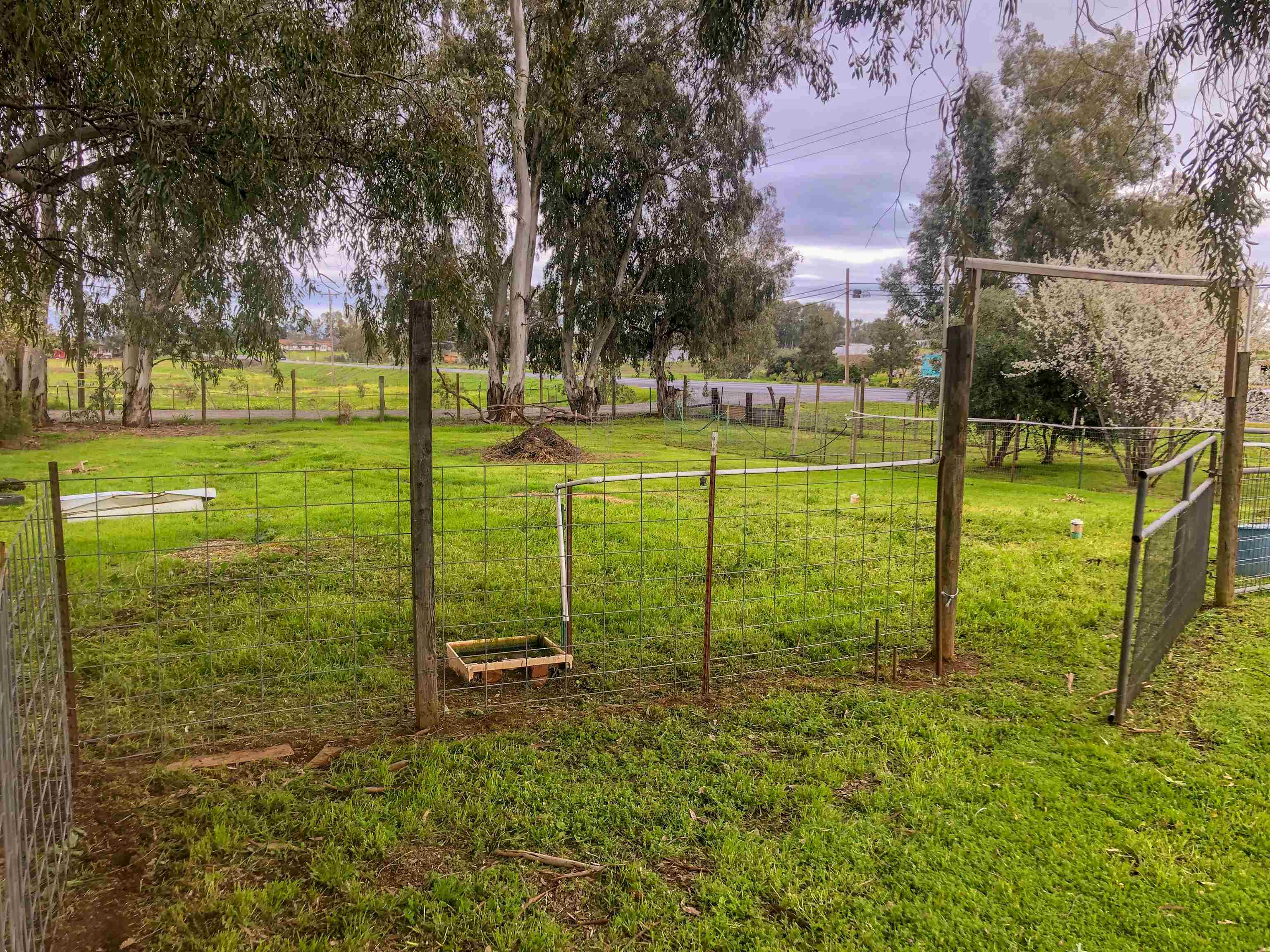 23848 Hoag Road Corning, CA 96021 - Photo 62 of 73