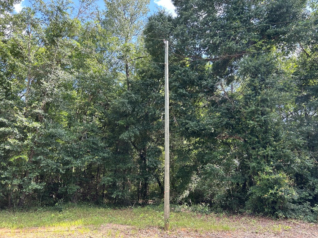 19.16-ac 19.16-ac Ramer Loop Cottonwood, AL 36320 - Photo 26 of 34