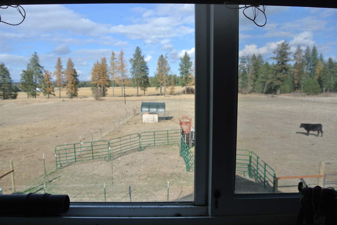11805 East Blanchard Road Elk, WA 99009 - Photo 16 of 20 Gallery Image 16