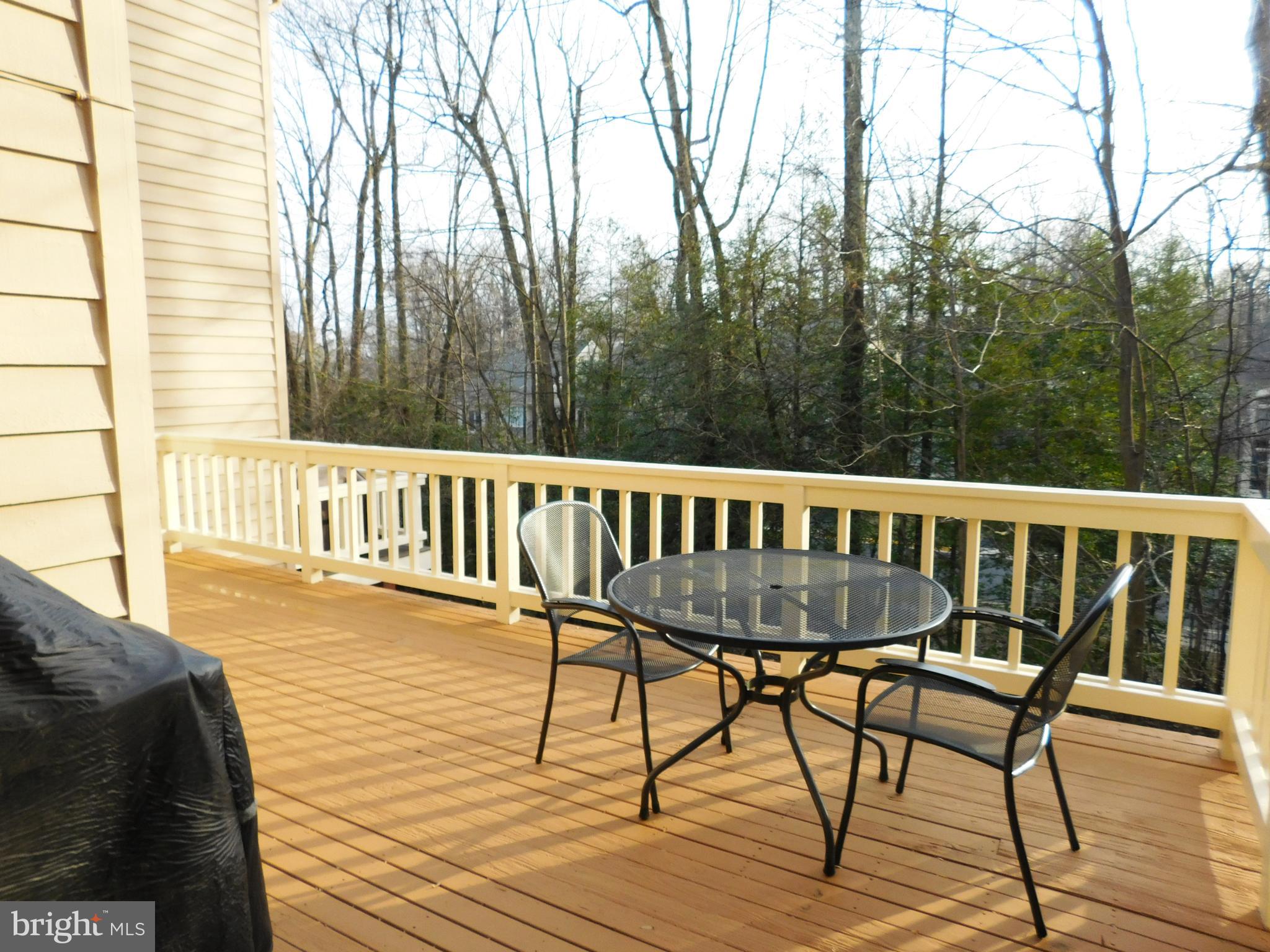 11553 Hemingway Drive Reston, VA 20194 - Photo 16 of 56 Main Level Deck