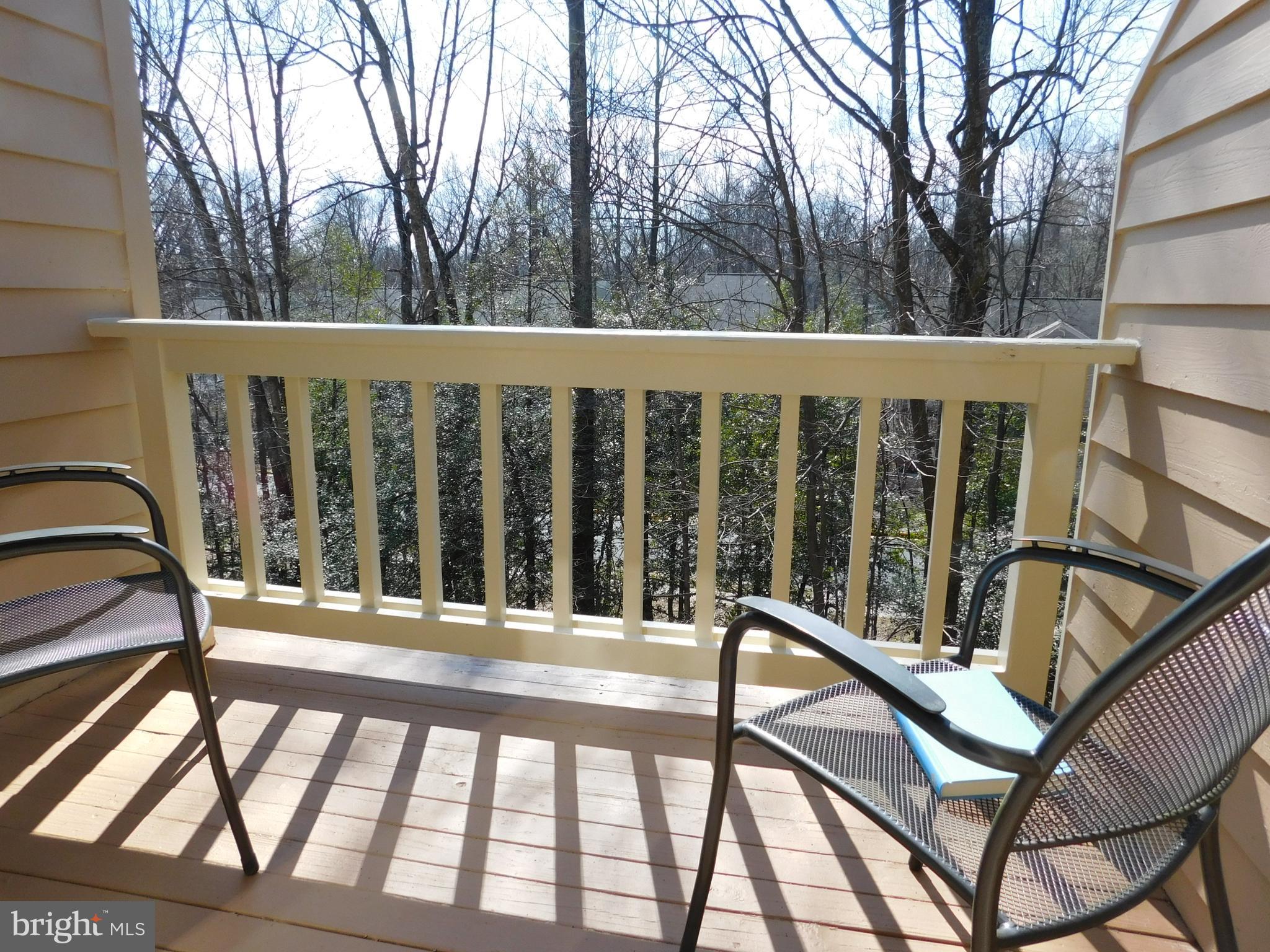 11553 Hemingway Drive Reston, VA 20194 - Photo 21 of 56 Master Bedroom Balcony