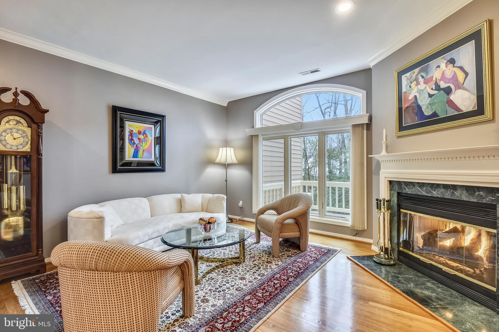 11553 Hemingway Drive Reston, VA 20194 - Photo 4 of 56 Living Room - gas fireplace