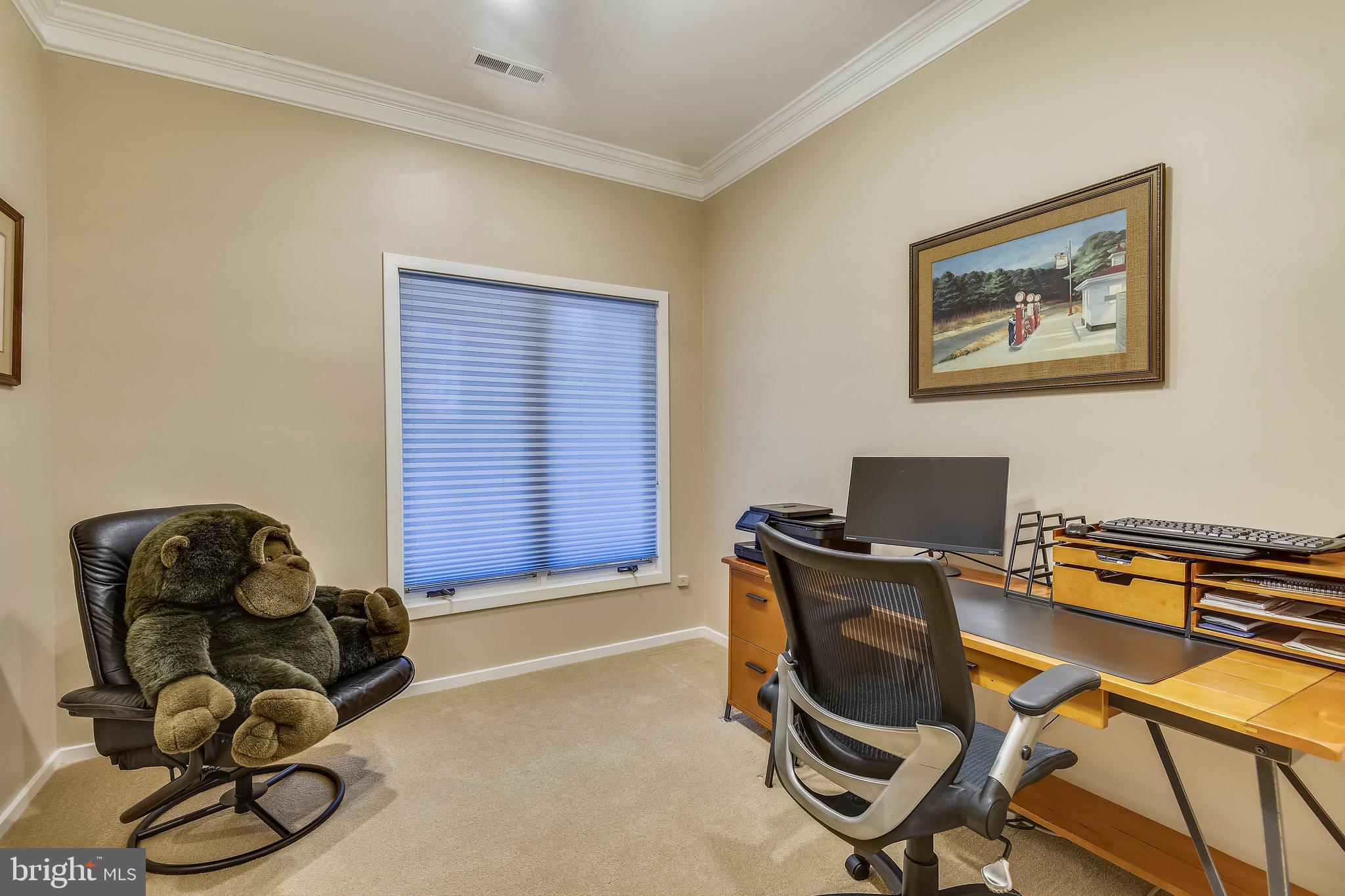 11553 Hemingway Drive Reston, VA 20194 - Photo 40 of 56 Lower Level Bedroom #4 / Multi-purpose Room