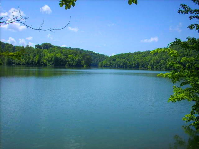 0 Cove Pointe Road La Follette, TN 37766 - Photo 1 of 10 Gallery Image 1