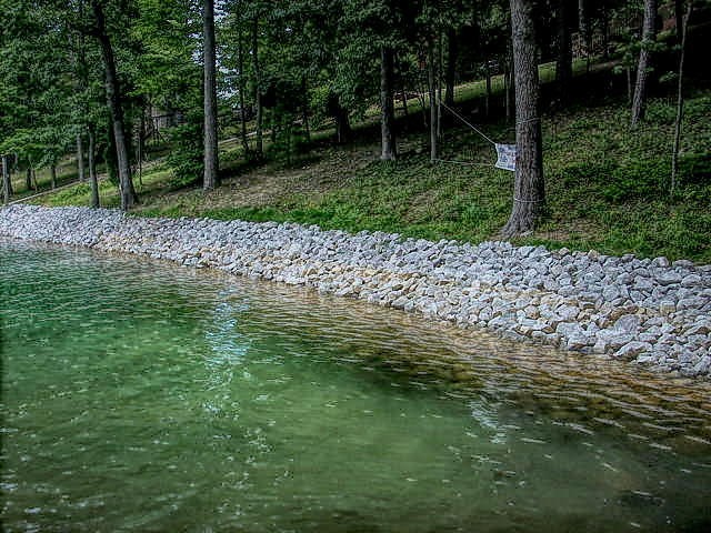 0 Cove Pointe Road La Follette, TN 37766 - Photo 2 of 10 Gallery Image 2